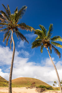 Low angle view of palm tree with sky in background