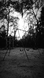 Bare trees against the sky