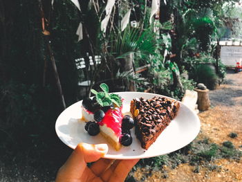 Midsection of person holding blueberry cheese cake and brownies