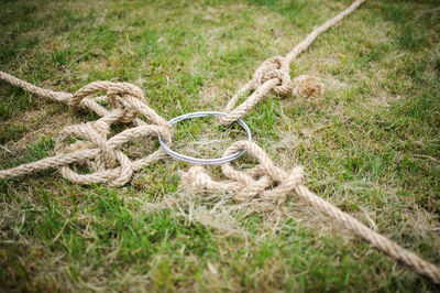 Close-up of rope tied grass