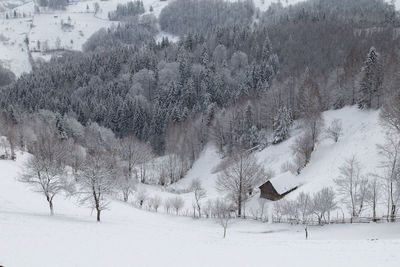 Panoramic view of snow covered land