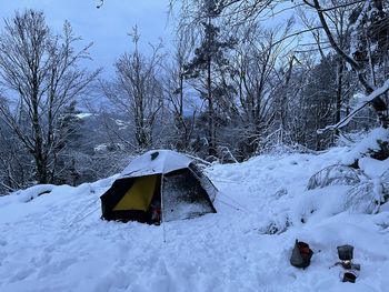 Snow covered tent by trees against sky