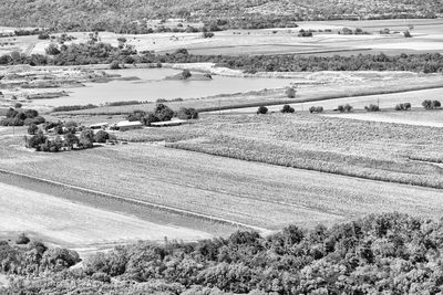 High angle view of agricultural field