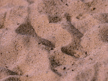 High angle view of footprints on sand