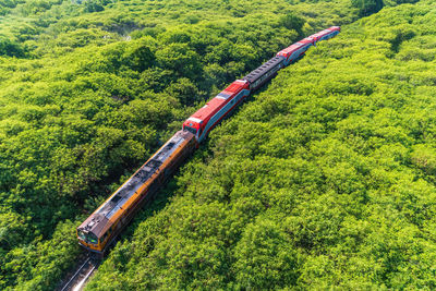 High angle view of agricultural field