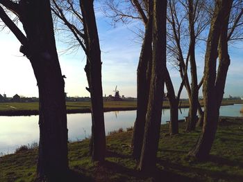 Trees on field by lake against sky