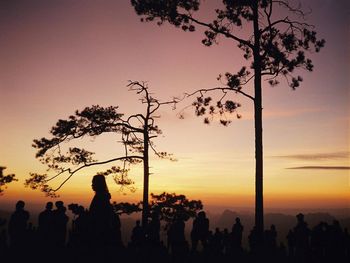 Silhouette people by trees against sky during sunset