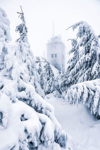 Snow covered buildings against sky