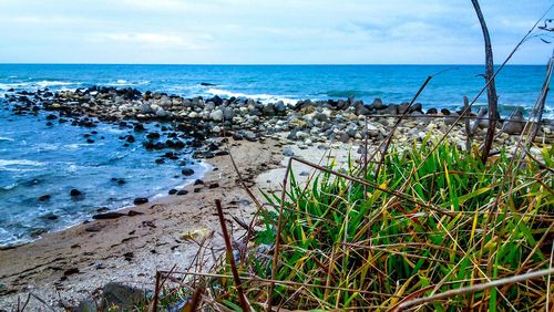 Scenic view of sea against sky