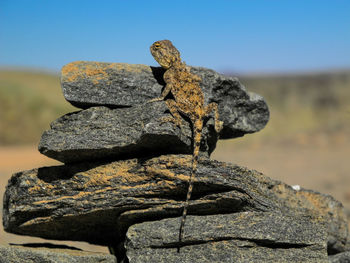 Close-up of stack of rock