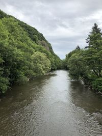 Scenic view of river amidst trees against sky
