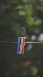 Close-up of clothespins hanging on rope