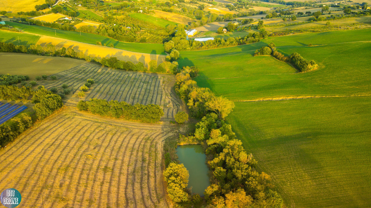 SCENIC VIEW OF FARM