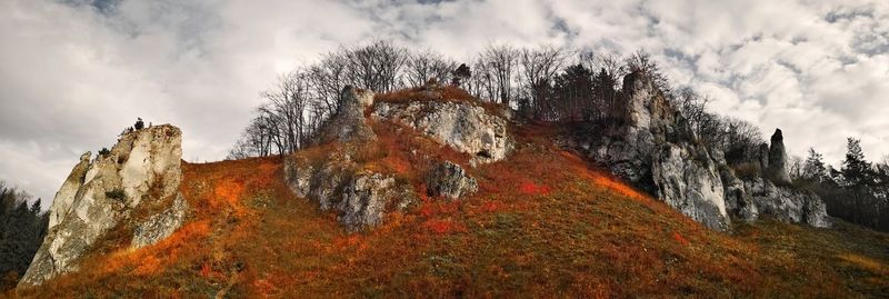 Low angle view of autumn leaves against sky