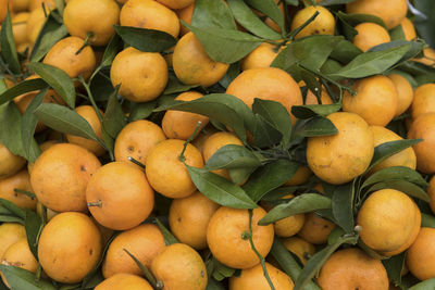 Full frame shot of fruits for sale at market