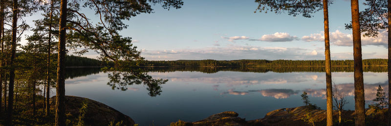 Scenic view of lake in forest against sky