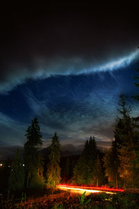 Scenic view of trees against sky at night
