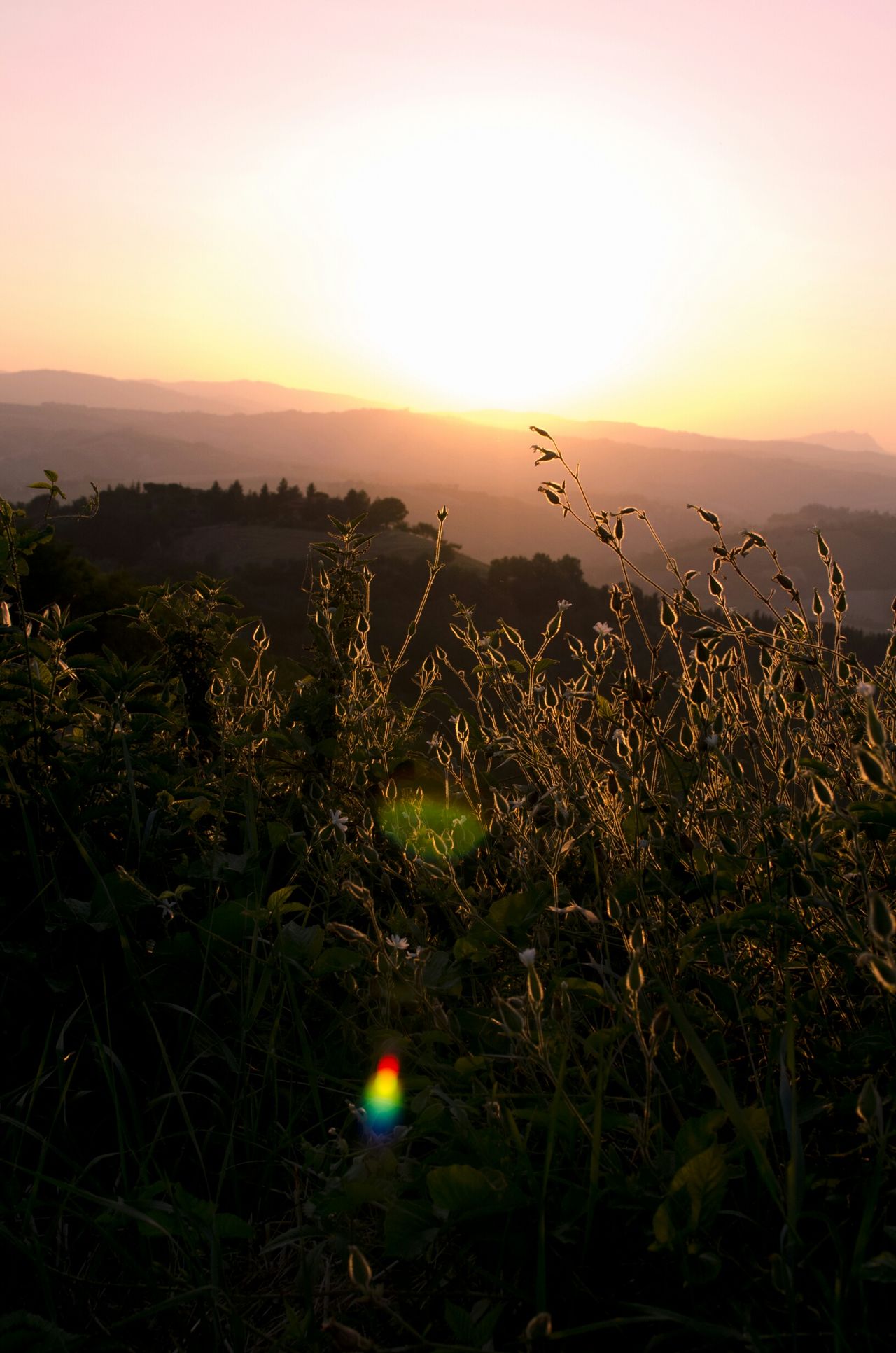 Monte Fabbri