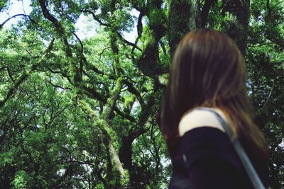 Low angle view of woman in forest