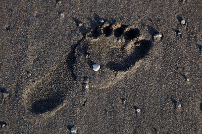 High angle view of footprints on beach