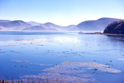 Scenic view of sea against clear blue sky