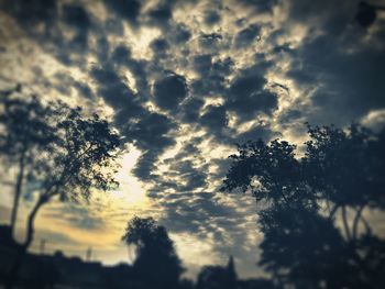 Low angle view of trees against cloudy sky