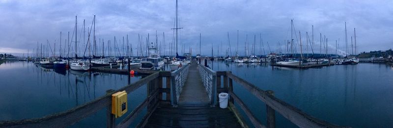 Sailboats moored in harbor