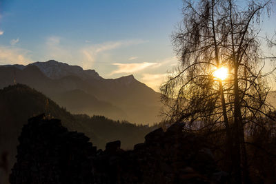 Silhouette trees against sky during sunset