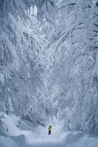 People skiing on snowcapped mountain