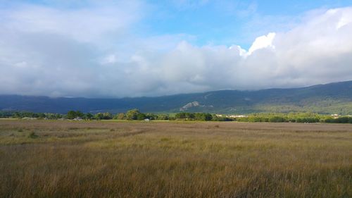 Scenic view of field against sky