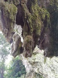 Close-up of rock formation