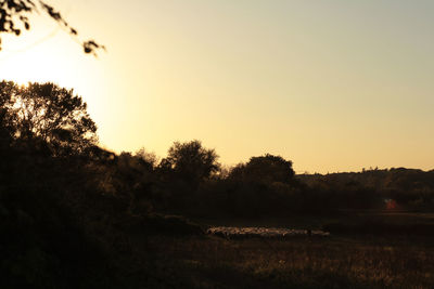 Scenic view of landscape against clear sky