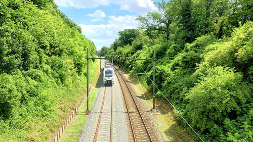 Railroad with train approaching in green environment 