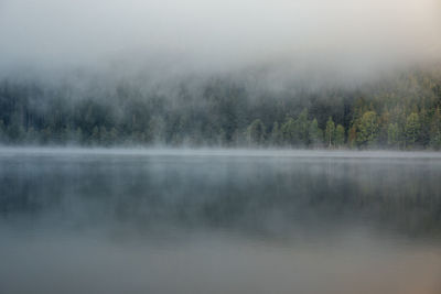 Scenic view of lake by trees against sky