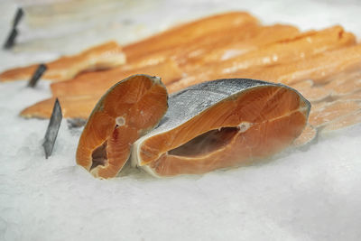 Close-up of fish on table