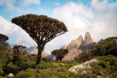 Scenic view of mountains against sky