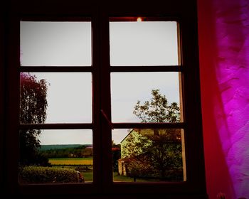 Plants and trees seen through window