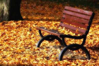 Empty bench in park