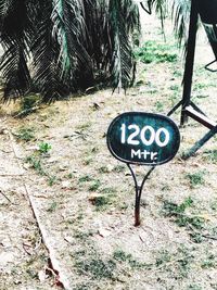 Information sign on tree trunk