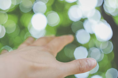 Close-up of hand holding leaf