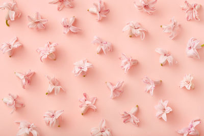 Directly above shot of flowers on white background