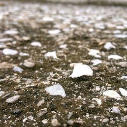 Close-up of stones on rocks