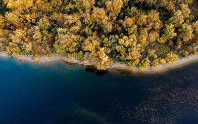 Scenic view of lake by trees