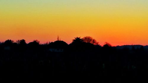 Silhouette of trees at sunset