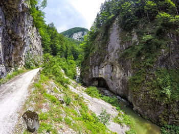 Scenic view of river amidst mountains