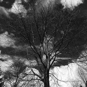 Low angle view of bare tree against sky