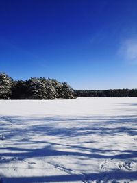 Scenic view of snow covered trees against blue sky