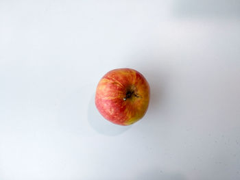 High angle view of apple on table against white background