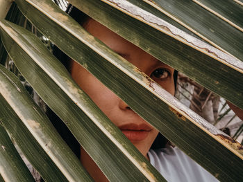 Full frame shot of wooden window