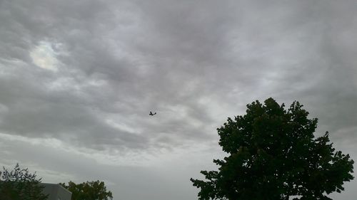 Low angle view of bird flying against cloudy sky